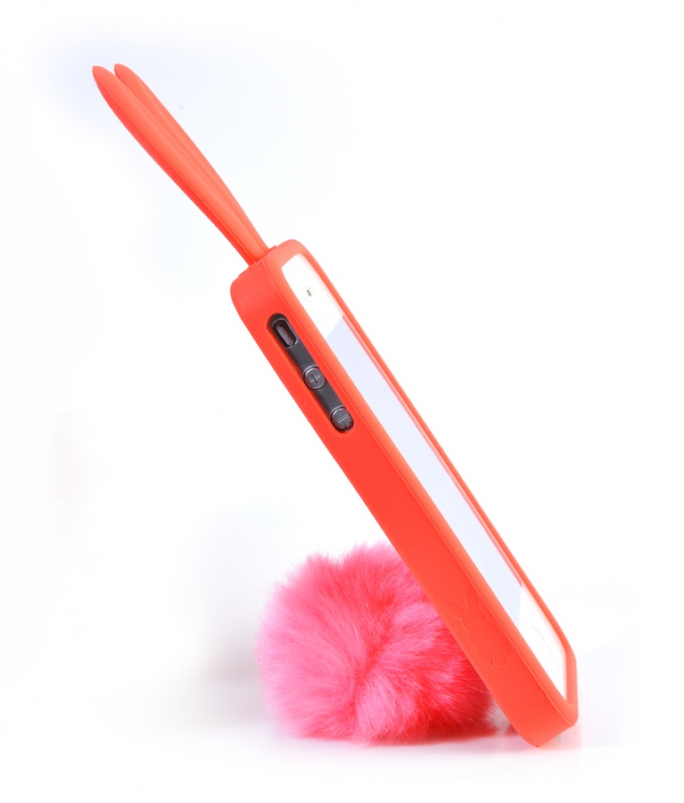  -  iPhone 5  iPhone 5s 