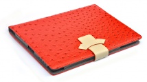  -  iPad  " "