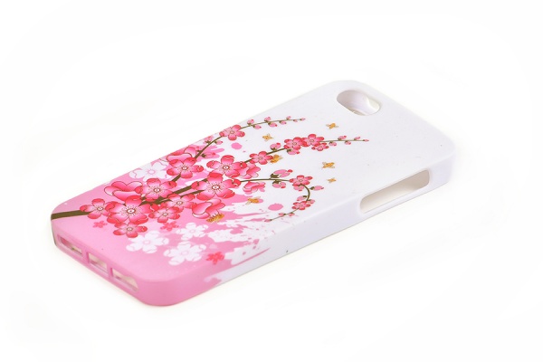    iPhone 5  iPhone 5s    