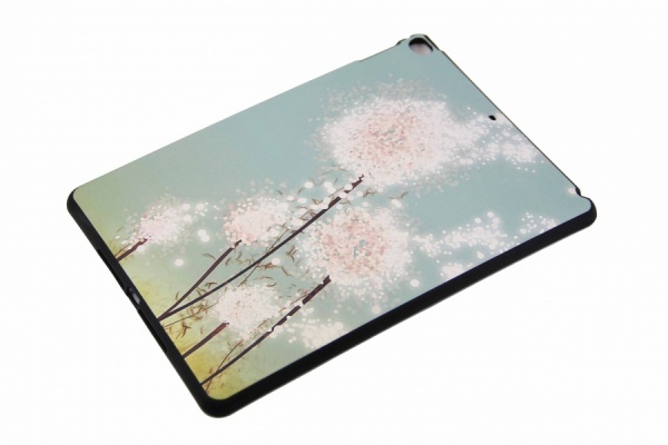    iPad Air   